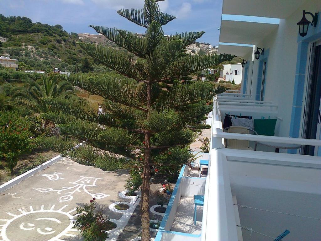 Dionysia Apartments Kefalos  Luaran gambar