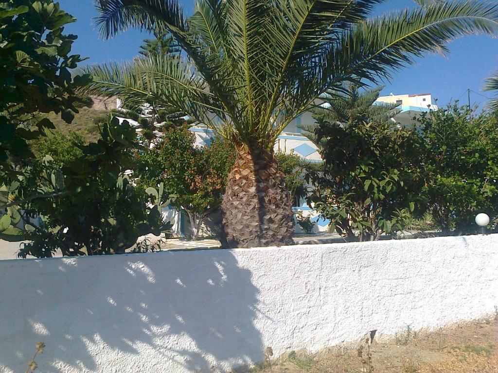 Dionysia Apartments Kefalos  Luaran gambar