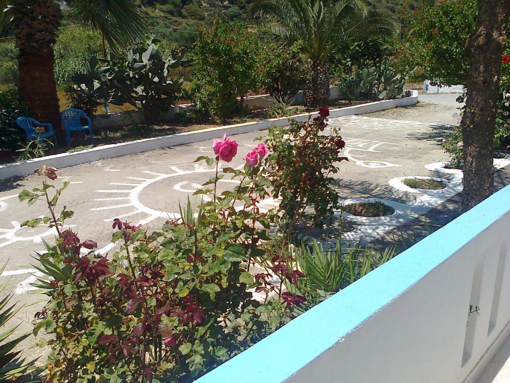 Dionysia Apartments Kefalos  Luaran gambar