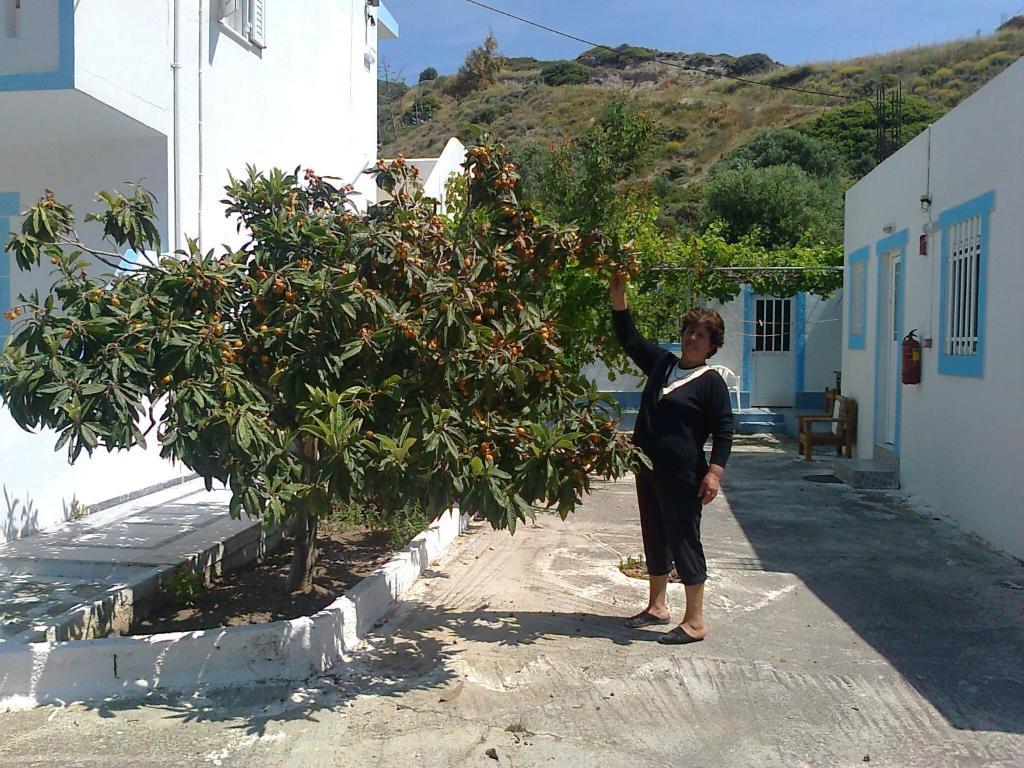Dionysia Apartments Kefalos  Luaran gambar