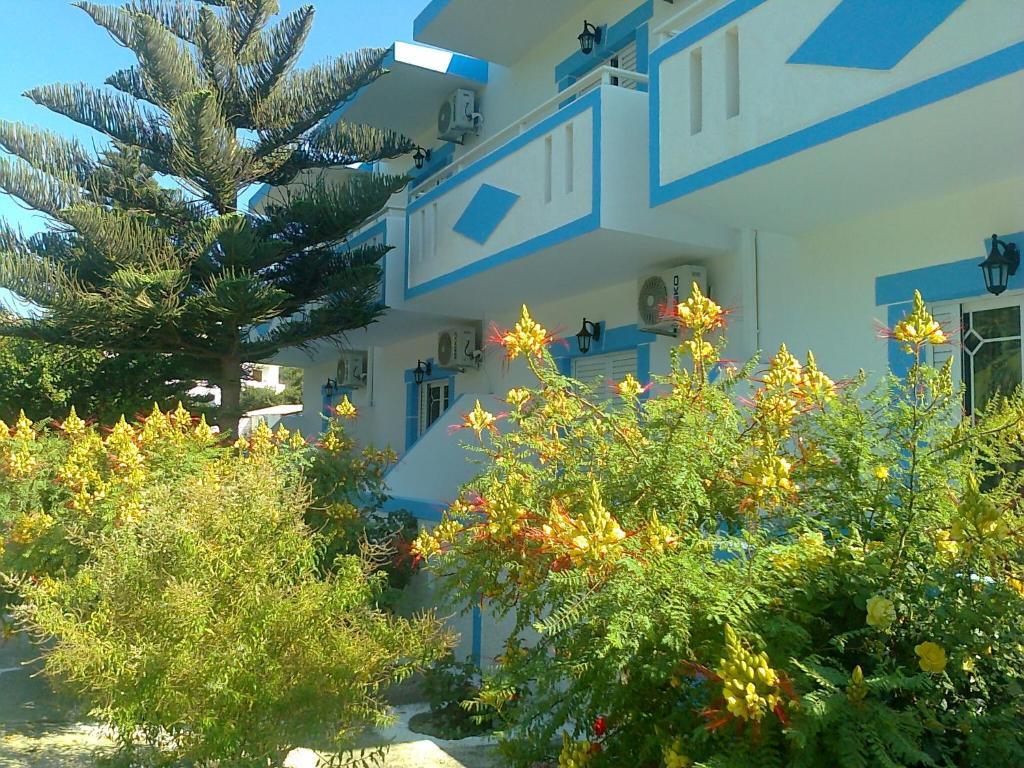 Dionysia Apartments Kefalos  Luaran gambar