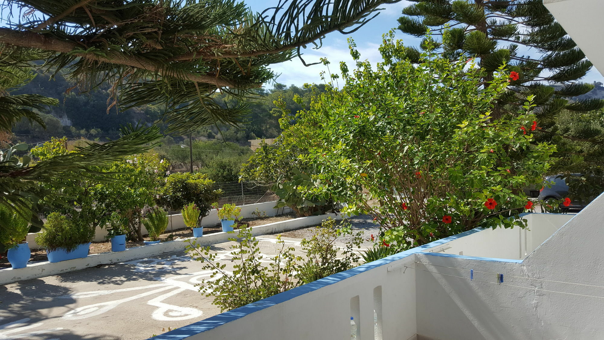 Dionysia Apartments Kefalos  Luaran gambar