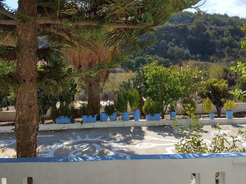 Dionysia Apartments Kefalos  Luaran gambar